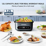100W Cordless Electric Lunch Box for Adults & Men, Rechargeable Battery Powered Heated Lunch Box, 1.2L Portable Food Warmer Lunchbox with 5-Sided Heating for Work Car Outdoor Use