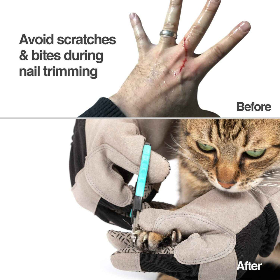 PetFusion multipurpose pet glove for grooming, vet trips, and handling - puncture & scratch resistant, water resistant - 12 month warranty grey