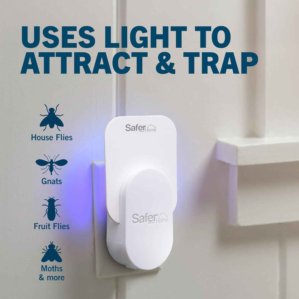 Safer Home Indoor Fruit Fly Gnat Trap with UV LED Lights - 400 Sq Ft Coverage - 1 Device + 5 StickyTech Glue Cards