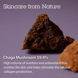blithe pressed serum chaga mushroom 0.91 fl oz advanced skin tightening cream