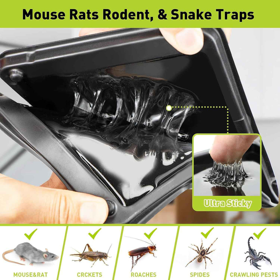 Glue mouse traps indoor for home, rat trap 12 pack, heavy duty non-toxic sticky boards for mice and rats pest control