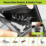 Glue mouse traps indoor for home, rat trap 12 pack, heavy duty non-toxic sticky boards for mice and rats pest control