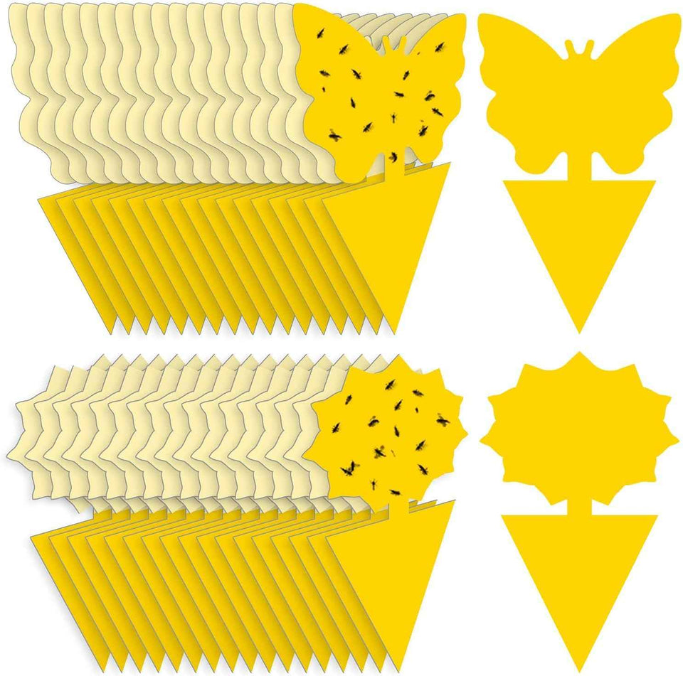 Fruit Fly Traps Fungus Gnat Traps Yellow Sticky Bug Traps 36 Pack No Harm and Odorless for Indoor Outdoor Use Protect The Plant