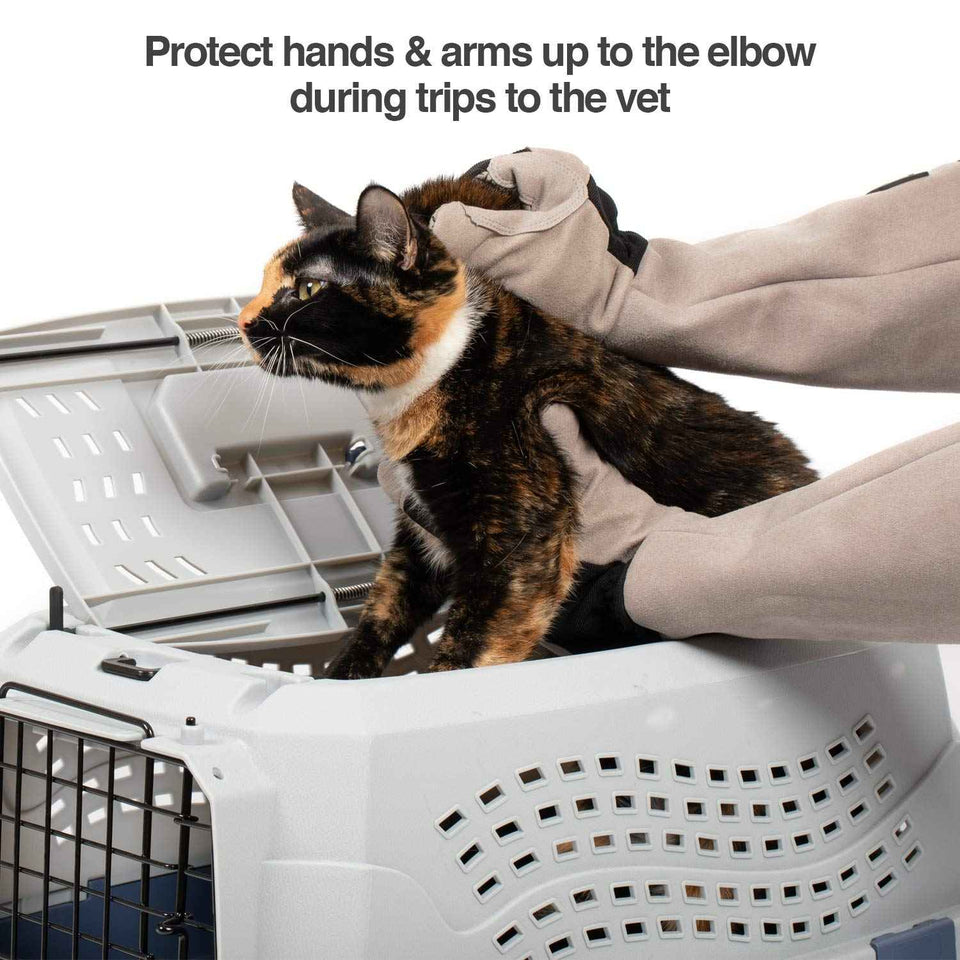 PetFusion multipurpose pet glove for grooming, vet trips, and handling - puncture & scratch resistant, water resistant - 12 month warranty grey