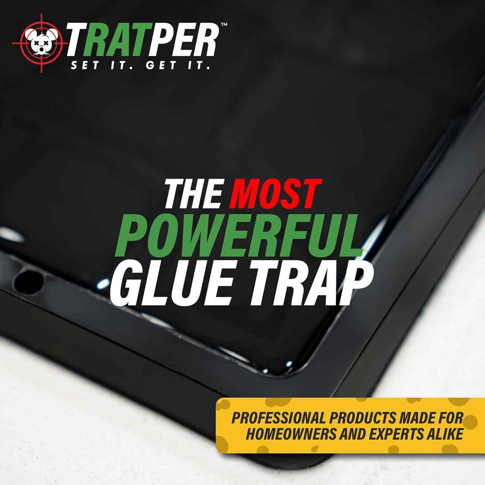 Heavy Duty Plastic Glue Traps for Mice, Rats, Snakes, Lizards, Insects - Extra Strength, Pre-Baited Adhesive - 10 Pack