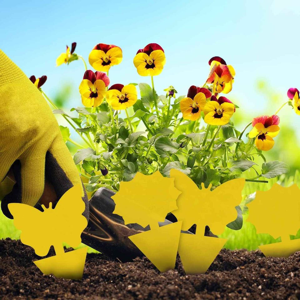 landisun 48pcs yellow fruit fly sticky traps for indoor outdoor potted plants bug insects