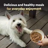 cesar filets in gravy wet dog food variety pack, 3.5 oz easy peel trays, usa made