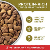 Purina ONE Dry Dog Food Lamb and Rice Formula - 8 lb. Bag - Cart Shape