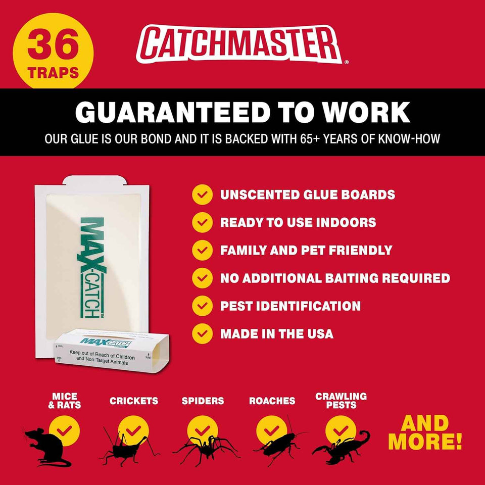 Catchmaster max-catch Mouse Glue Traps 36PK, Indoor Pest Control Adhesive Trays