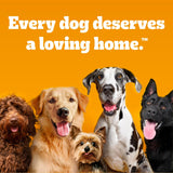 pedigree-chopped-ground-dinner-wet-dog-food-filet-mignon-beef-variety-pack