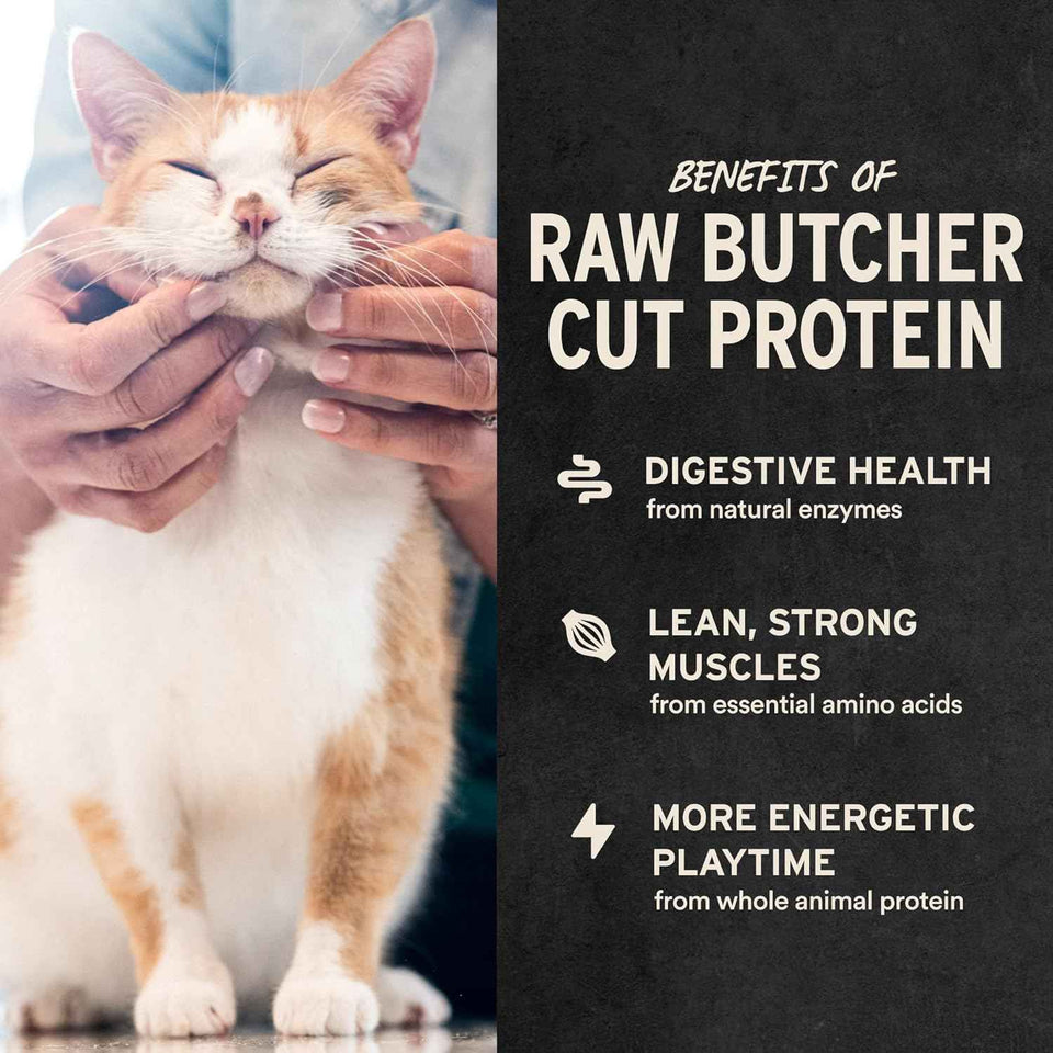 Vital Essentials minnows freeze-dried raw cat treats, 0.5 oz, single ingredient, grain free, gluten free, filler free