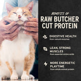 Vital Essentials minnows freeze-dried raw cat treats, 0.5 oz, single ingredient, grain free, gluten free, filler free