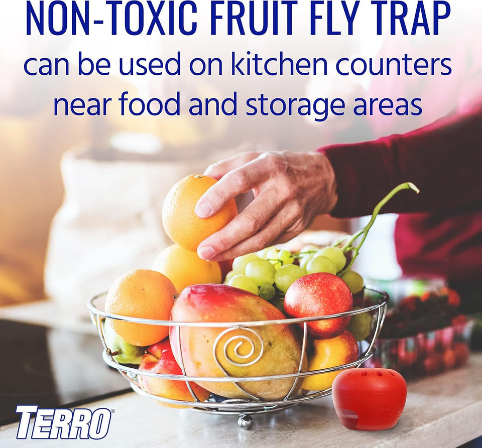Terro Fruit Fly Traps for Indoors (4 Pack) + 180 Days of Lure Supply