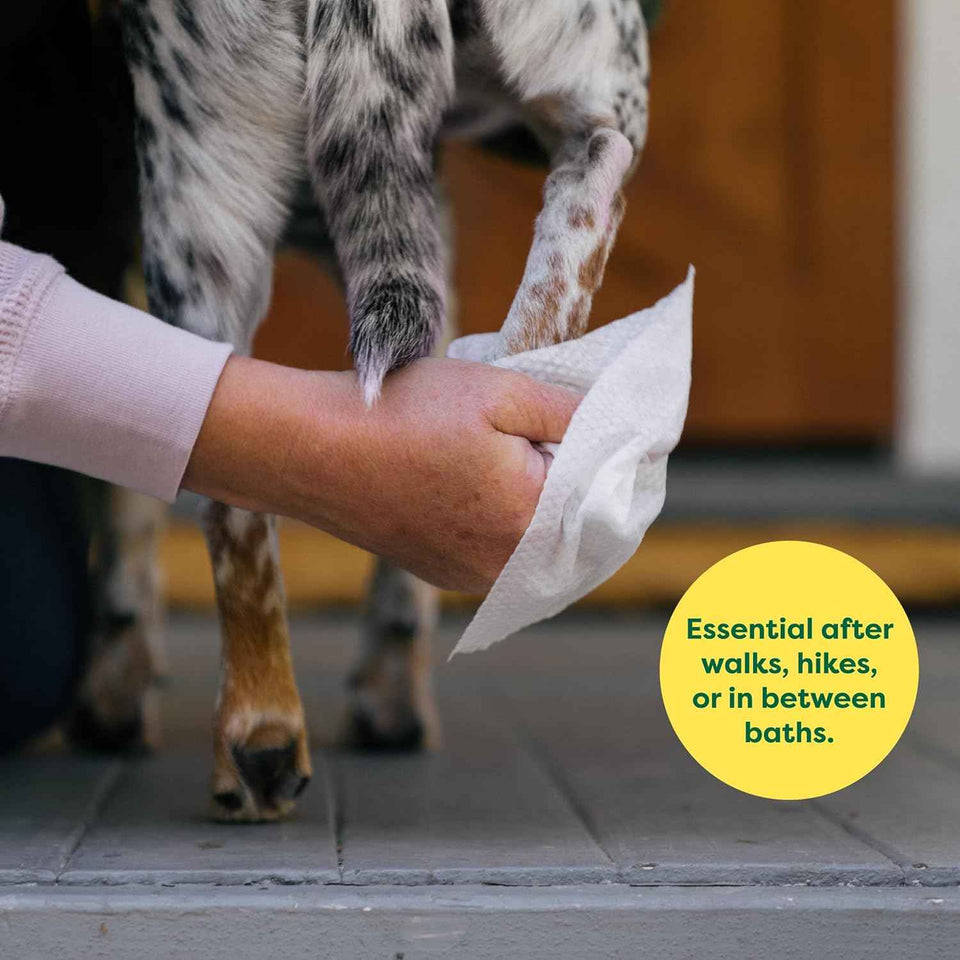 Earth Rated Pet Wipes for Dogs and Cats, Hypoallergenic, Unscented, 100 Count for Grooming Paws and Body