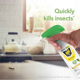 Raid Essentials Multi-Insect Killer Spray Bottle, Child and Pet Safe, for Indoor Use, Lemongrass Scent, 12 fl oz