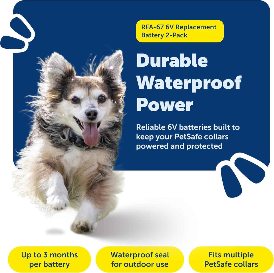 PetSafe Rfa-67d-11 Dog Collar Batteries Waterproof Lithium Metal 2-Pack 6V Replacement for PetSafe Systems