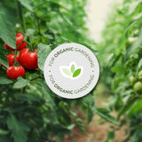 Garden Safe 32 oz. insecticidal soap for indoor and outdoor pest control of aphids and more
