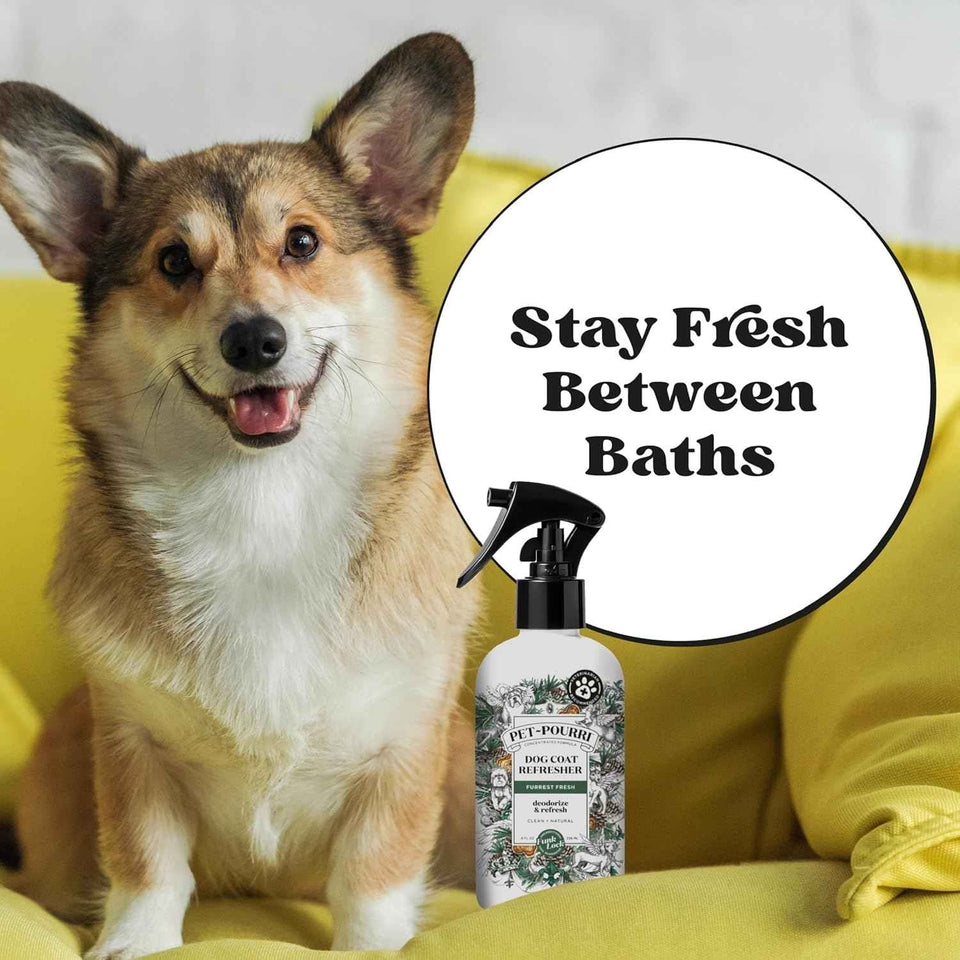 poo-pourri furrest fresh dog deodorizing spray, 8 fl oz, paraben & sulfate-free, fir, amber & cedarwood scent