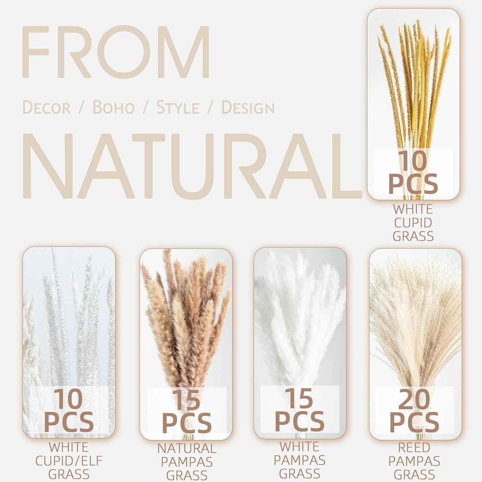 70PCS natural dried pampas grass boho home decor bouquet phragmites dried flowers bouquet
