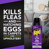 Raid Flea Killer Carpet & Room Spray, kills adult fleas and hatching eggs for up to 4 months, non-staining spray, 16 Oz