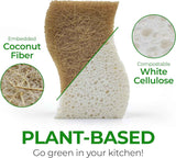 Natural Compostable Cellulose Coconut Walnut Kitchen Sponges 12 Pack Gentle Eco Friendly Daily Cleaning