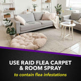 Raid Flea Killer Carpet & Room Spray, Kills hatching eggs for up to 4 months, 16 Oz