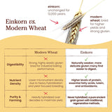 Jovial 32 oz Organic Einkorn Unbleached All Purpose Flour for Sourdough Pizza Pasta European Italian Bread Baking