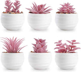 Der Rose Set of 6 Succulents Plants Artificial in Pots Small Fake Plants for Bedroom Aesthetic Living Room Shelf Bathroom Decor Office Desk Accessories