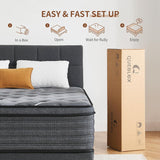 Queen Mattress, 12 Inch Hybrid Mattress in a Box, Medium Firm,Memory Foam and Individual Pocket Springs for Pressure Relief, CertiPUR-US Certified