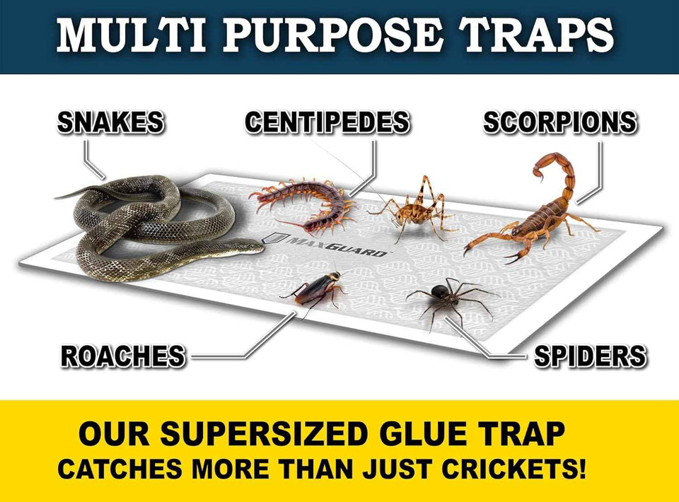 maxguard-extra-large-cricket-traps-8-traps-non-toxic-extra-sticky-glue-pre-baited-cricket-attractant-trap-kill