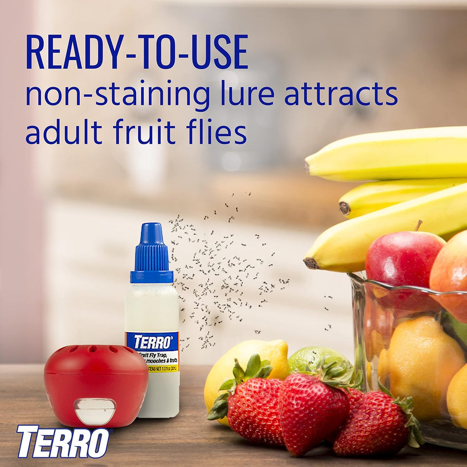 Terro Fruit Fly Traps for Indoors (4 Pack) + 180 Days of Lure Supply