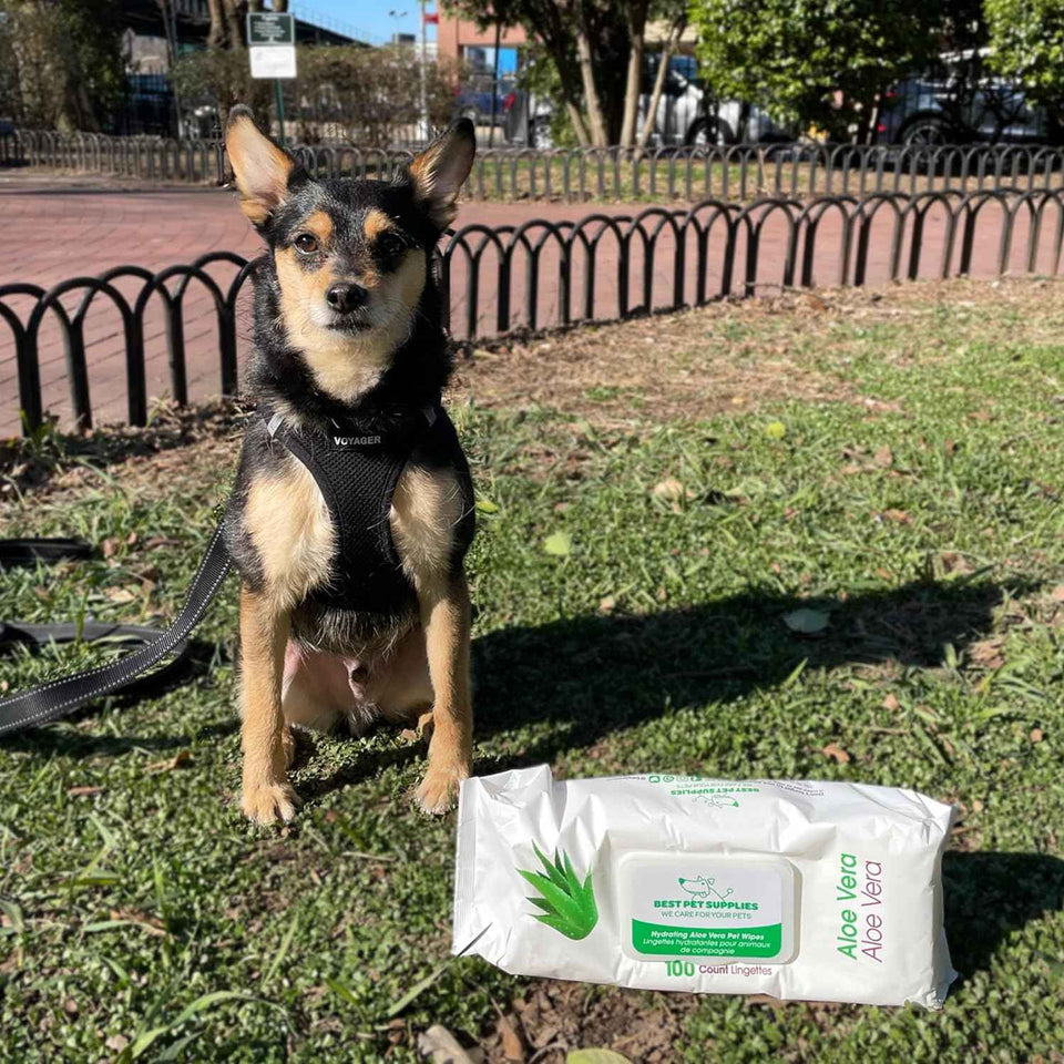 Best Pet Supplies Pet Wipes for Dogs, Hydrating and Deodorizing, Safe and Non-Sticky, 1 Count