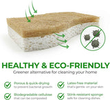 Natural Biodegradable Kitchen Sponge, 12 Pack, Compostable Cellulose and Coconut Walnut Scrubber