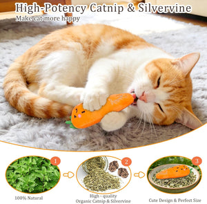 Catnip Cat Toys, Cat Nip Kitten Toy for Indoor Cats Kitty Kicker, Durable Kitten Teething Chew Toy, 5 Pack, Vegetable Shape