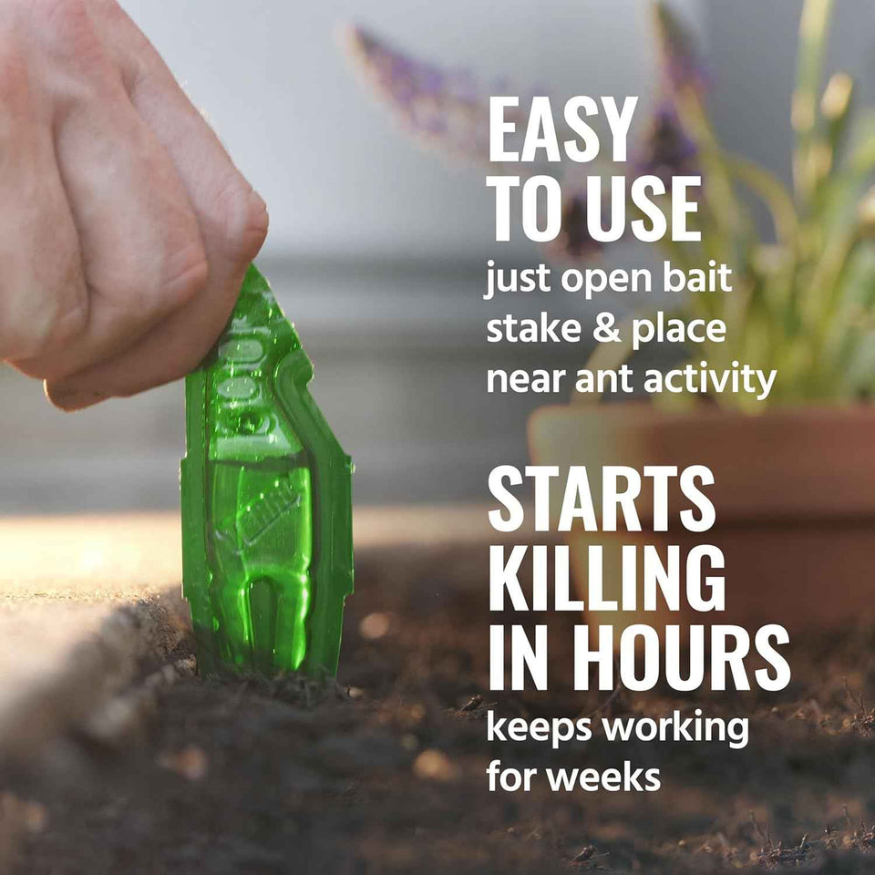 TERRO Liquid Ant Baits - T1813B - Outdoor Ready-to-Use Terro Ant Traps, Kills Household Ants, 12 Stakes