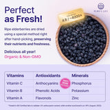 usda-certified 100% organic dried elderberries 1lb bulk non-irradiated non-gmo whole black elderberry