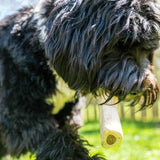 cadet-stuffed-shin-bone-long-lasting-dog-cheew-bones-for-aggressive-chewers-high-protein-filling-peanut-butter-flavor-5-6-inch-for-large-dogs