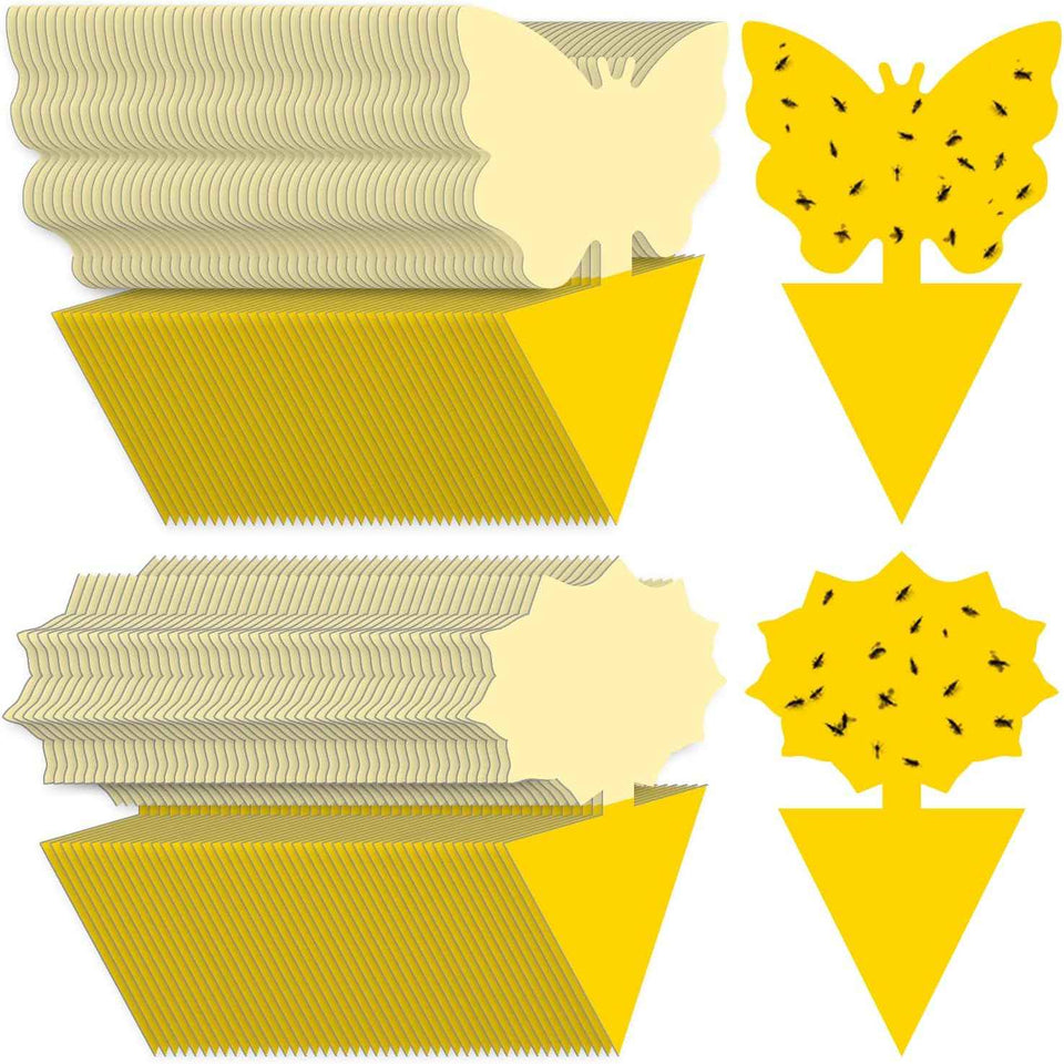 Landisun Fruit Fly Traps 48PCS Fungus Gnat-Traps for Indoor-Outdoor Yellow Fruit-Fly Sticky-Trap Plants Flying Bug Insects Traps