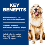 Hills Science Diet Adult Perfect Weight Dry Dog Food, 25 lb, Chicken & Brown Rice