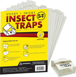 s t inc 30 count glue traps for brown recluse hobo spiders black widows home basement garage pest control