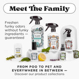 Poo-Pourri Before-You-Go Toilet Spray, Fresh Air, 4 Fl Oz, Up to 200 Uses, Bathroom Odor Deodorizer , Plant-Based with Essential Oils, for Home or Work, Jasmine, Fresh Air and Mint Scent