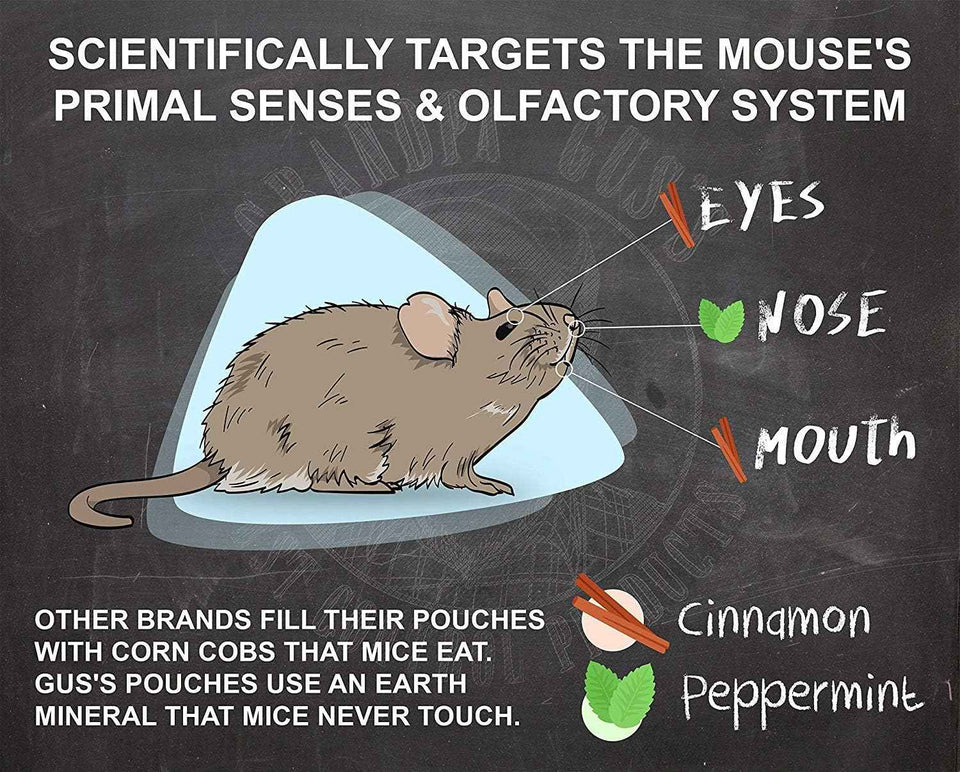 Grandpa Gus's Rodent Repellent Spray, Peppermint & Cinnamon Oil, Prevents Mouse/Rats from Nesting & Chewing on Wires, 16 fl oz (Pack of 1)