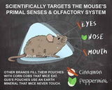 Grandpa Gus's Rodent Repellent Spray, Peppermint & Cinnamon Oil, Prevents Mouse/Rats from Nesting & Chewing on Wires, 16 fl oz (Pack of 1)
