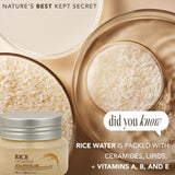 the face shop rice ceramide cream, hydrating face moisturizer for dry and combination skin, 1.69 fl oz