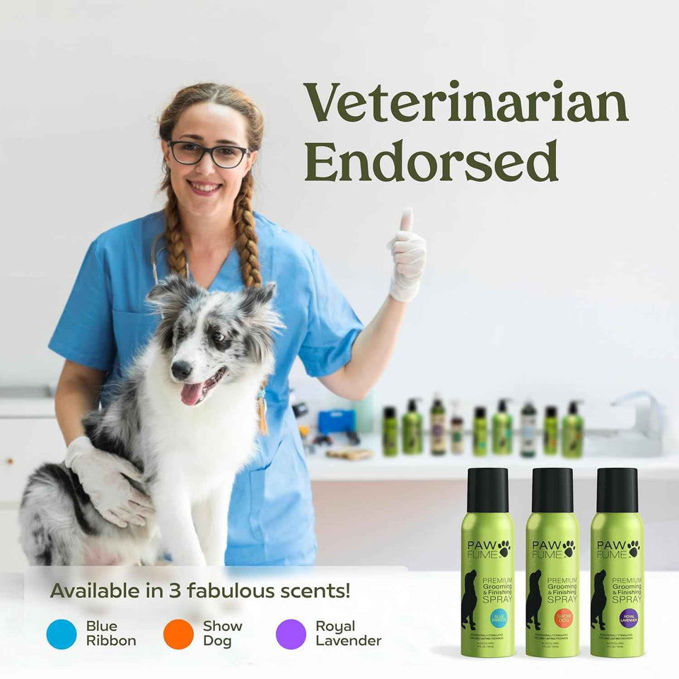 PAWFUME Dog Perfume Spray Long Lasting Scent for Grooming, Show Dog, 1-Pack – Keep Your Pup Fresh All Day – Hypoallergenic, Alcohol-Free, Detangling Formula – Moisturizing Pet Cologne Spray for Dogs