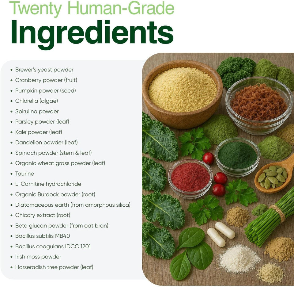 Iron Paws human-grade superfood powder for dogs dental health longevity hip joint gut allergies immune support skin coat 3.5 oz