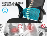 TRALT Office Chair - Ergonomic Office Chair with Back Support, Home Office Desk Chairs, 330lbs Wide Seat Big and Tall Office Chairs, Comfy Desk Chair for Work, Study, Office, Gaming (Black)