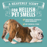 Angry Orange Pet Odor Eliminator with Natural Orange Oil - 24 oz - Non-Toxic, Citrus Scent