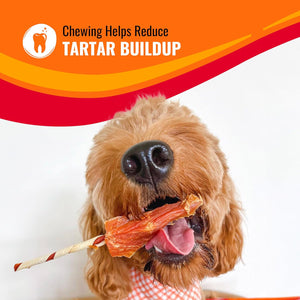 Good ‘n’ Fun Triple Flavor Kabobs Chews for All Dogs, 24 Ounces, Treat Your Dog, Made from Beef Hide, Real Chicken, Pork Hide, Duck and Chicken Liver