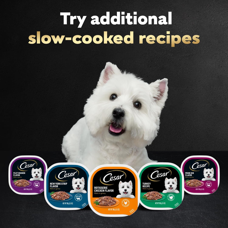 cesar filets in gravy wet dog food variety pack, 3.5 oz easy peel trays, usa made